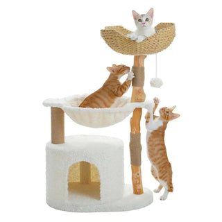 Arbre à chat en bois massif
