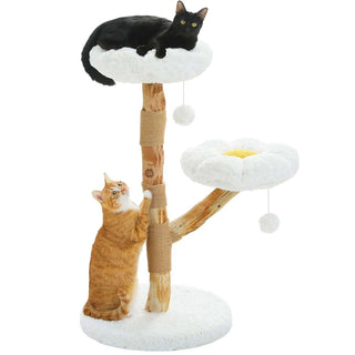 Natural Wood Cat Tree with Modern Design