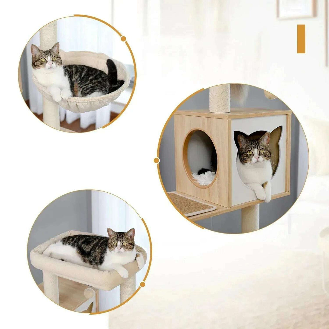 Arbre à chat cache-litière, niche et hamac
