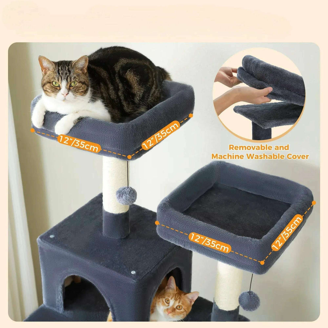 Arbre à chat gris foncé pour Maine Coon — vue arrière