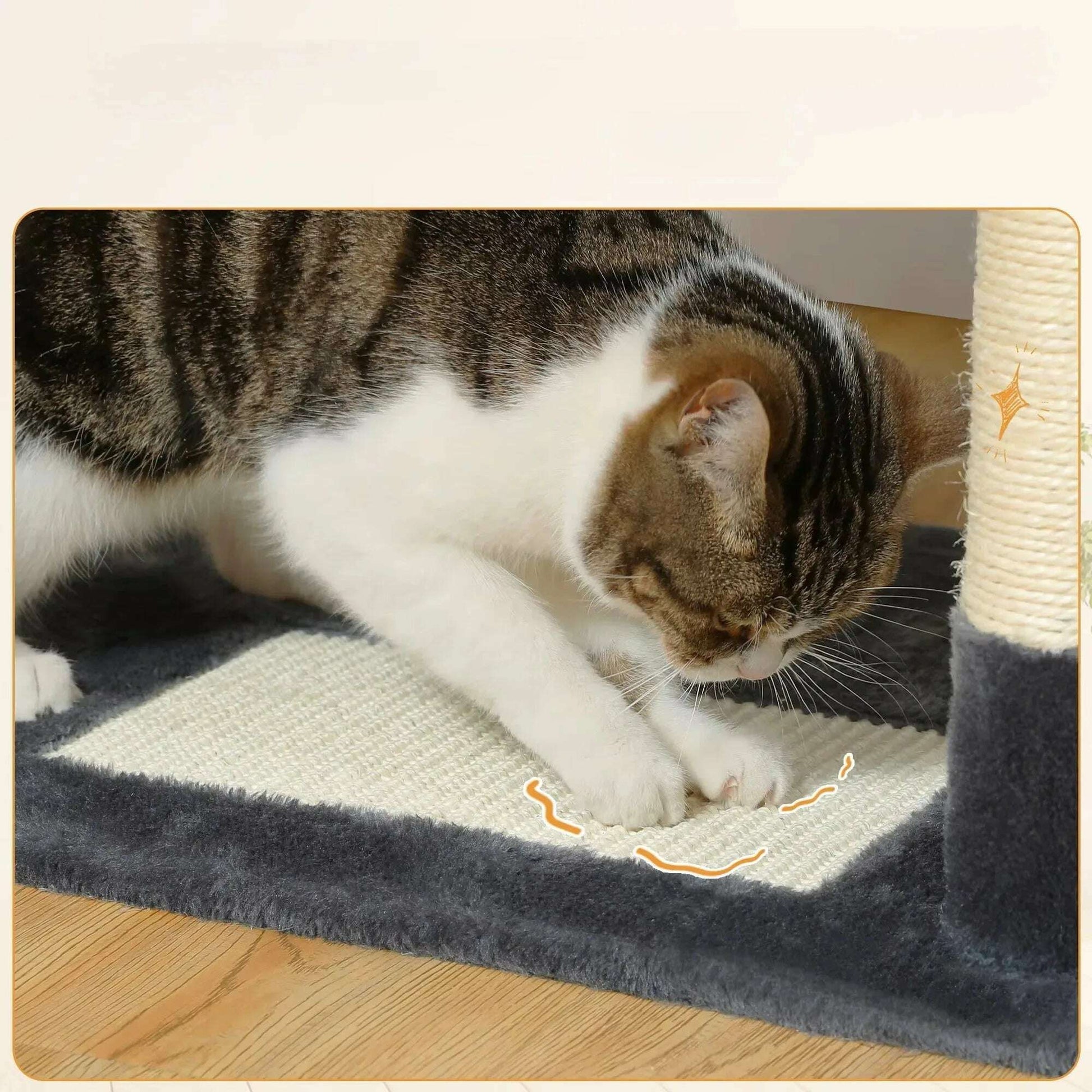 Arbre à chat gris foncé pour Maine Coon — détail