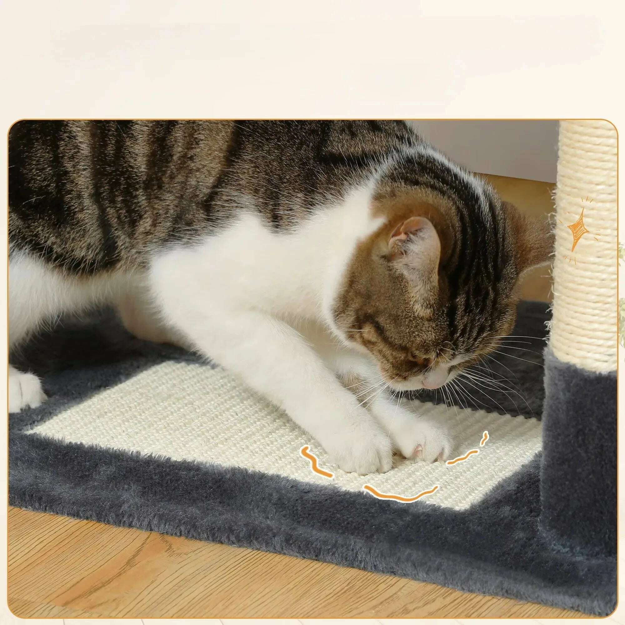 Arbre à chat gris foncé pour Maine Coon — détail