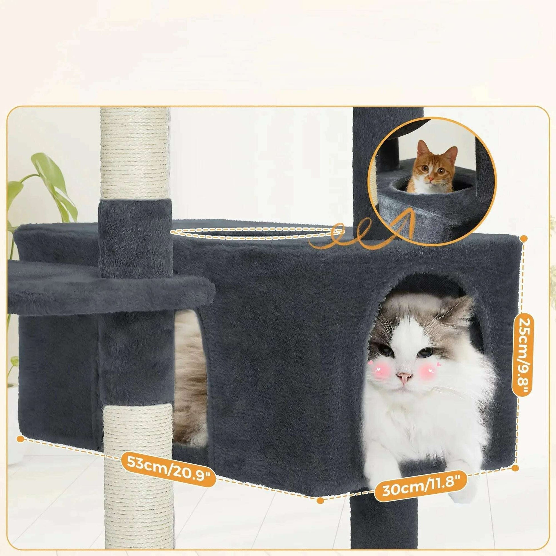 Arbre à chat gris foncé pour Maine Coon — en situation