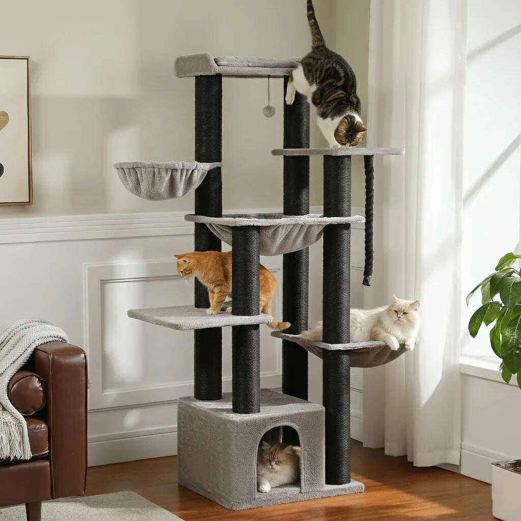 Arbre à chat en bois massif pour Maine Coon — vue d'ensemble