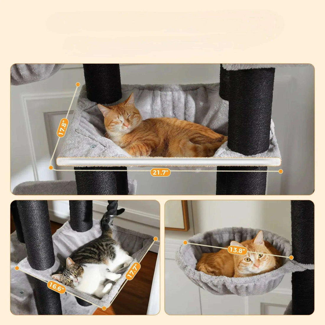 Arbre à chat en bois massif pour Maine Coon — vue arrière