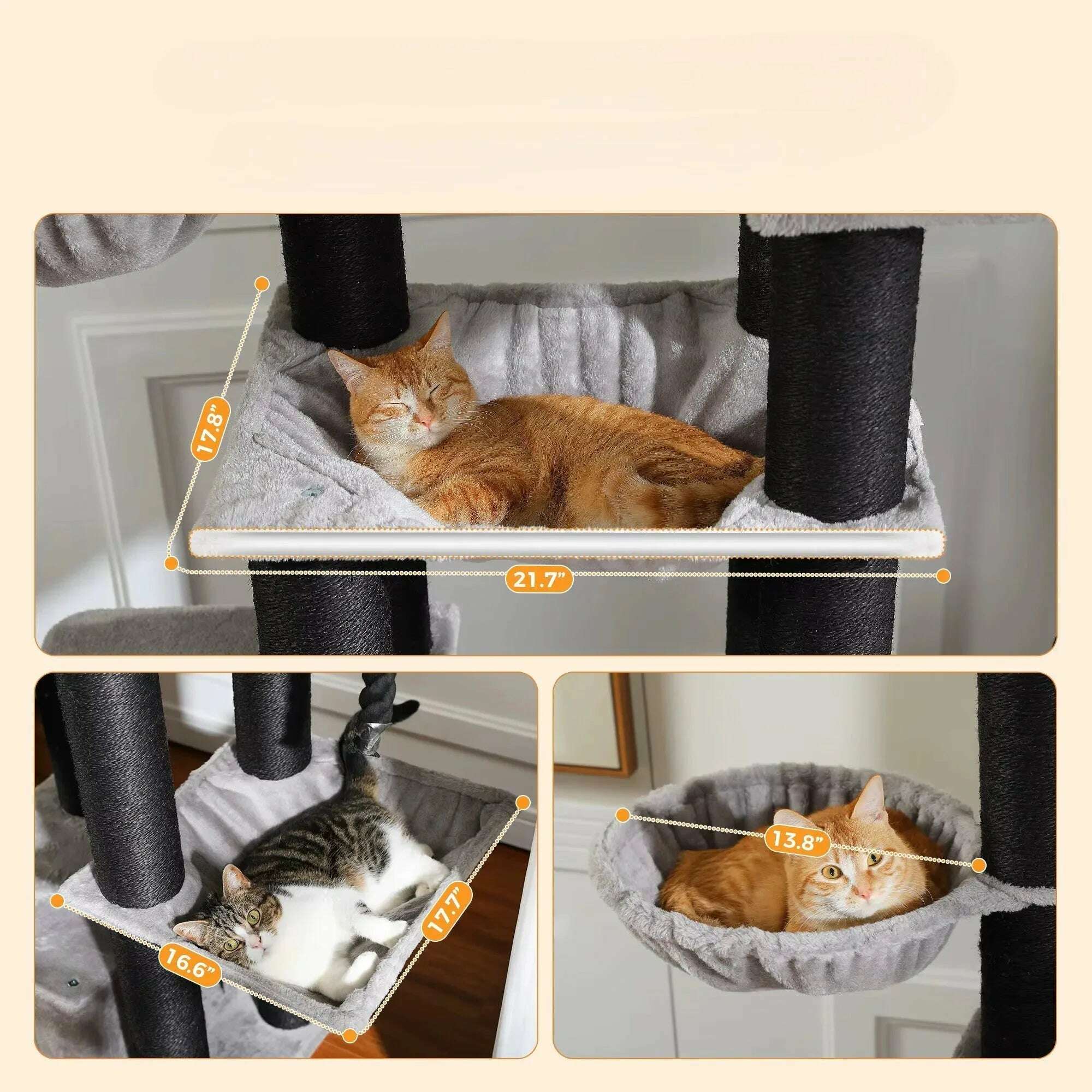 Arbre à chat en bois massif pour Maine Coon — vue arrière
