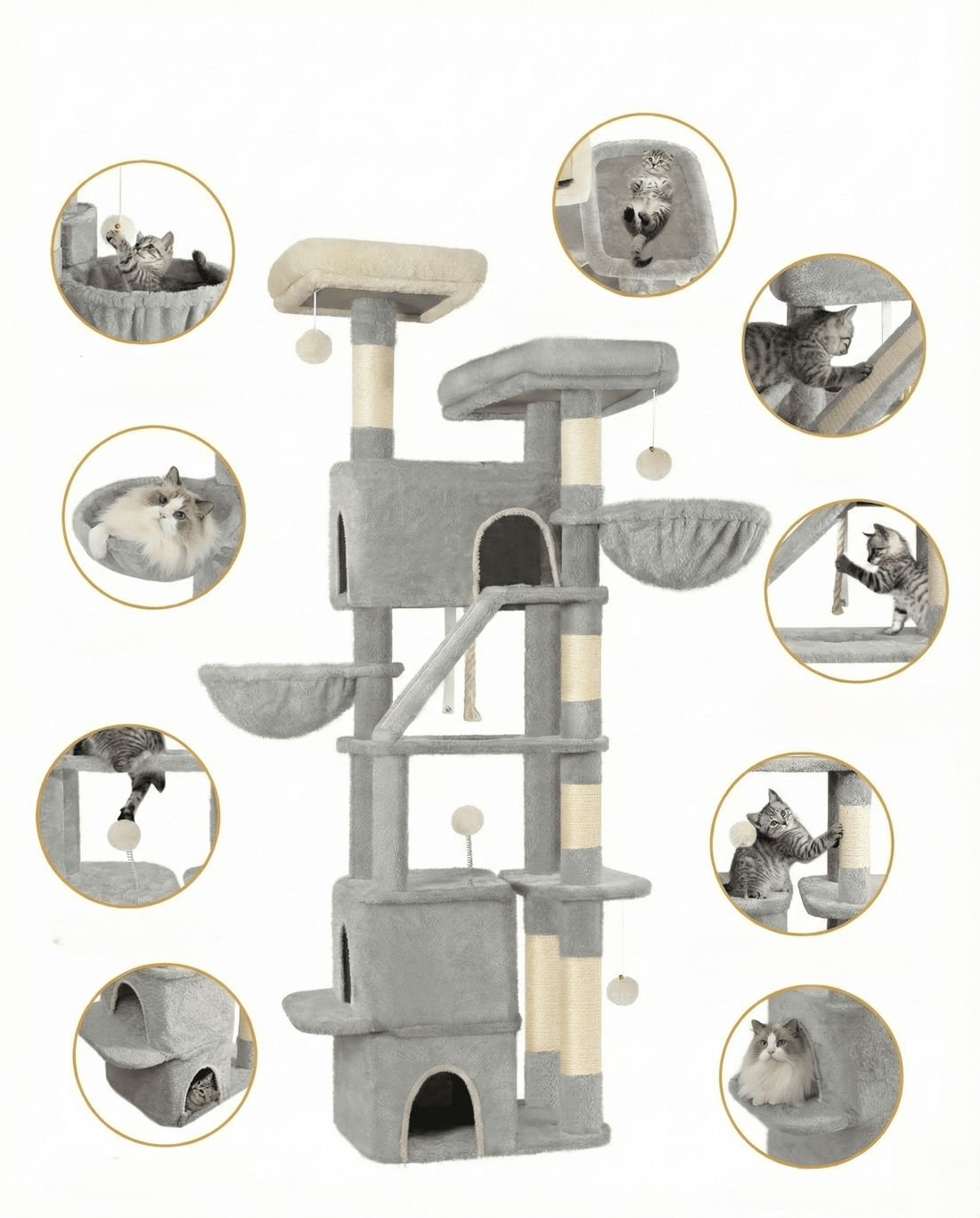 Arbre à chat multi-niveaux pour Maine Coon — vue arrière