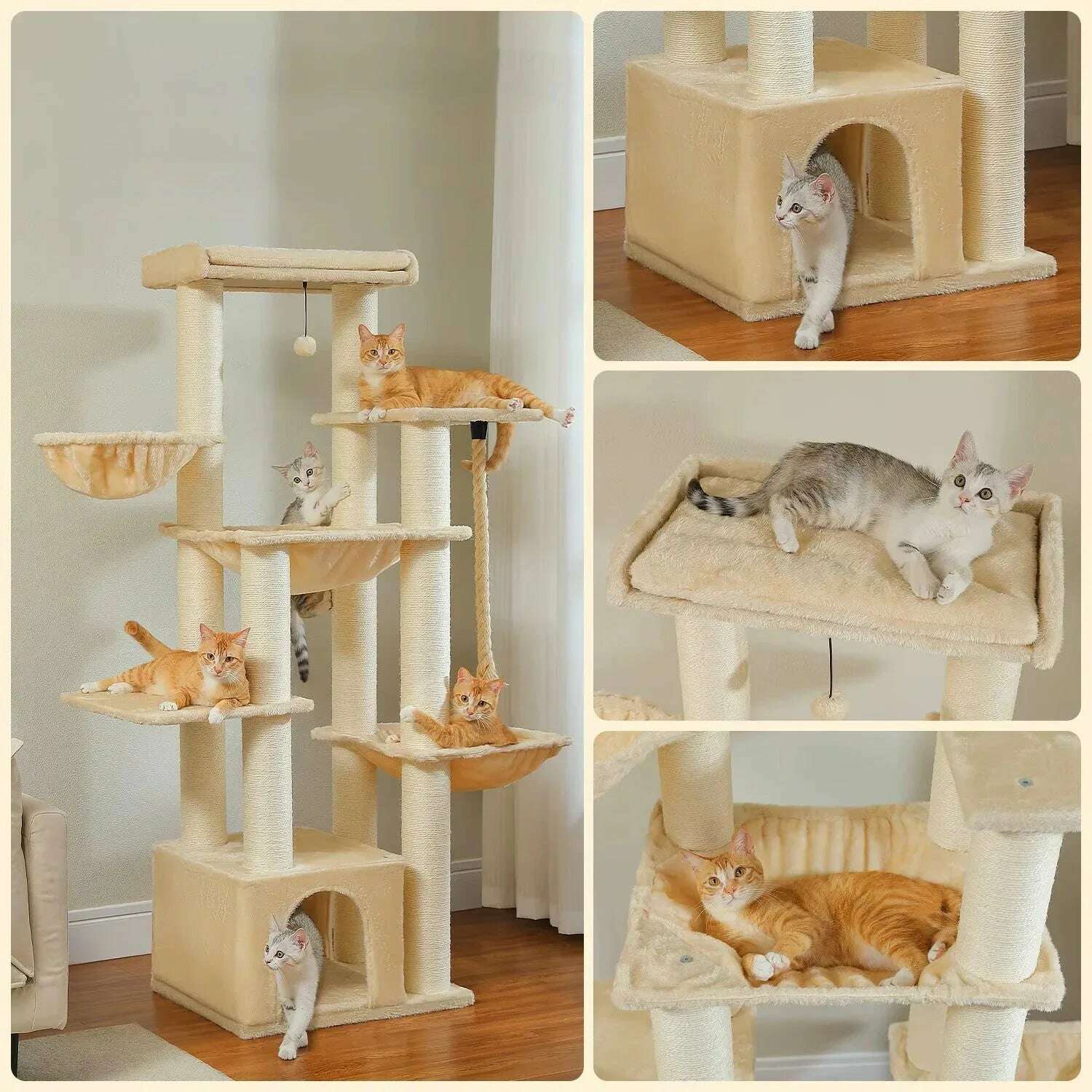 arbre-à-chat-maine-coon-solidele-félin-35860896
