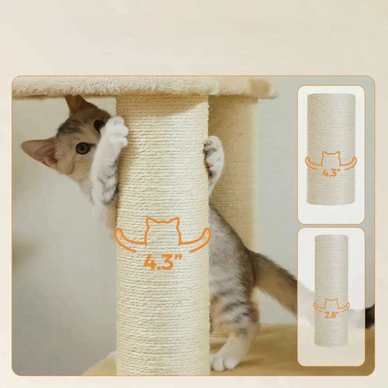 arbre-à-chat-maine-coon-solidele-félin-35860897