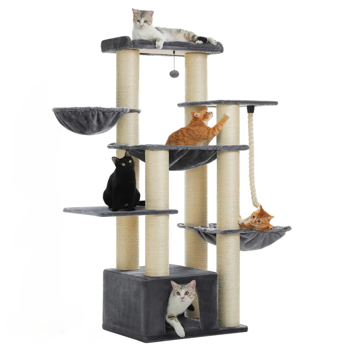 Arbre à chat maine coon XXL png