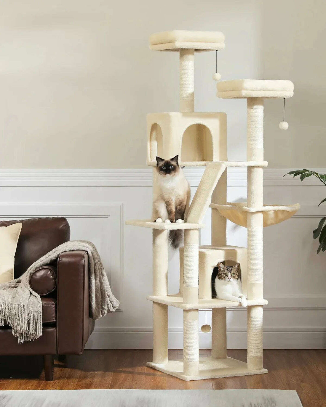 Arbre à chat XXL compact — détail