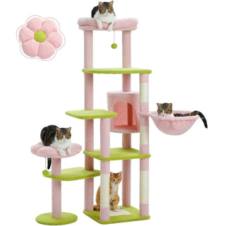 Arbre à chat fleur