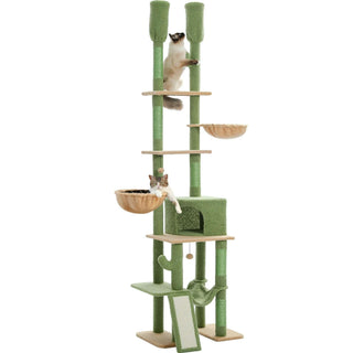 Arbre à chat cactus