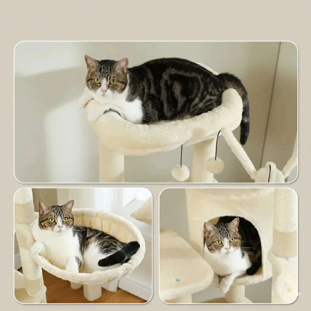 Arbre à chat XXL multi-niveaux — vue d'ensemble