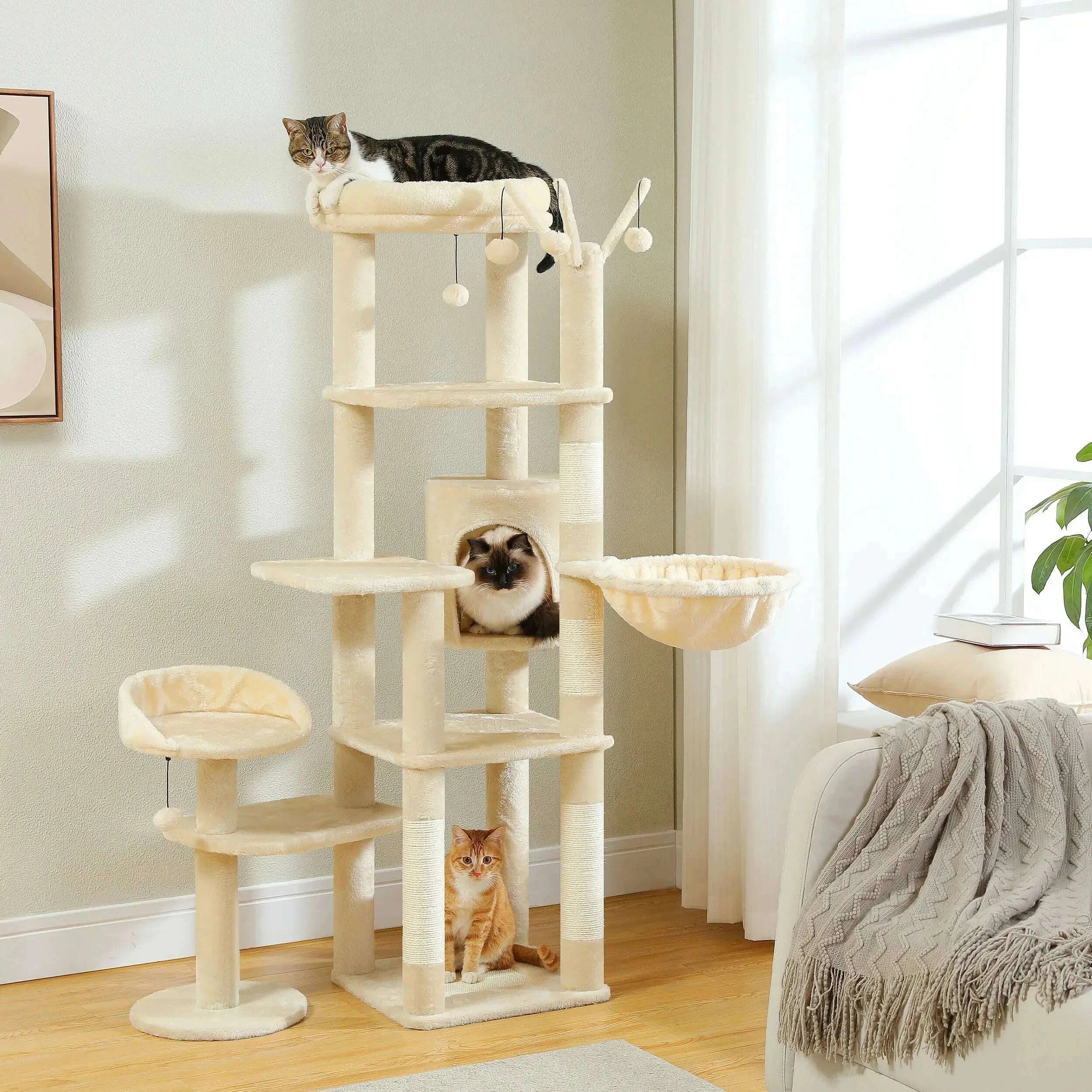 Arbre à chat XXL multi-niveaux — en situation