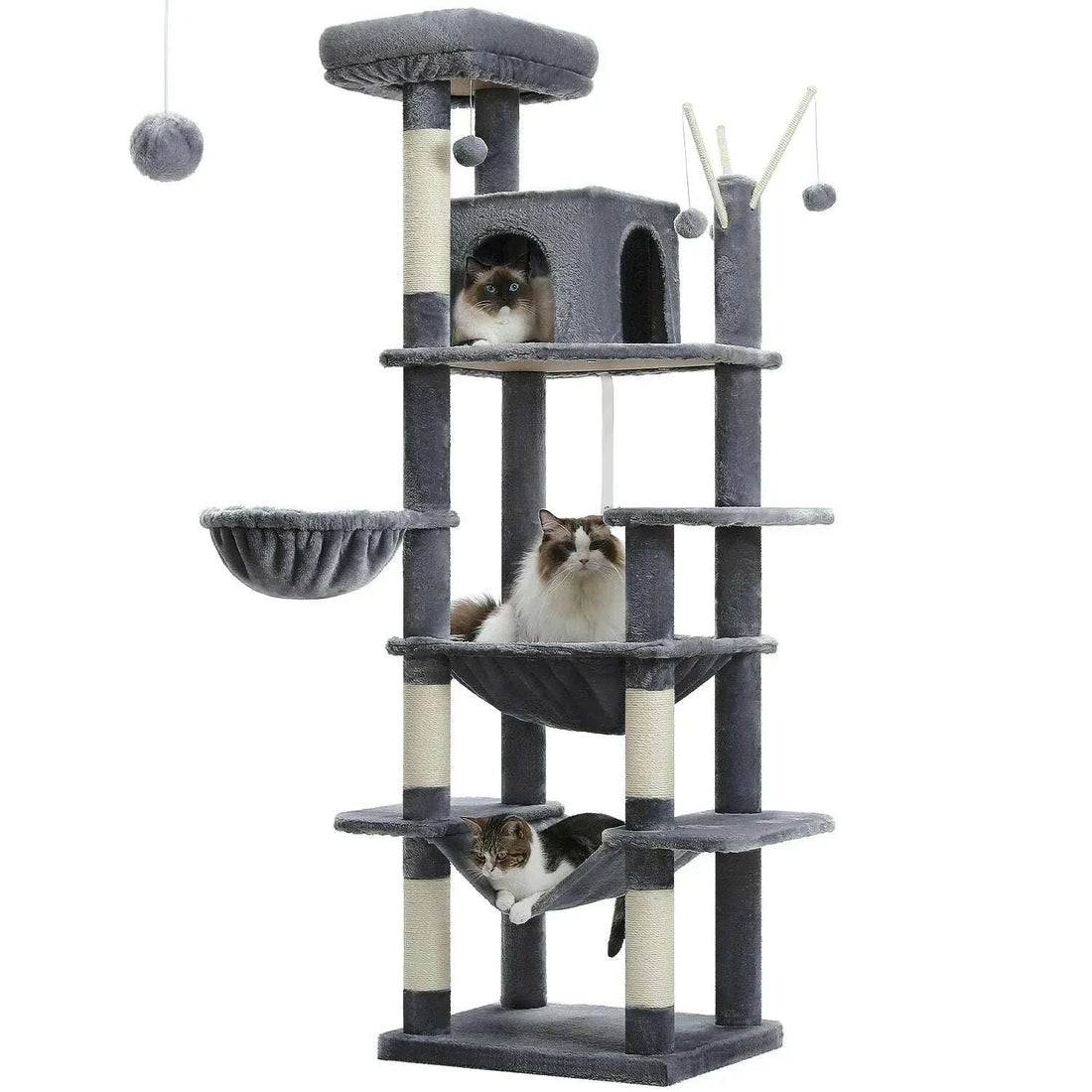 Arbre à chat XXL pour grands félins — en situation