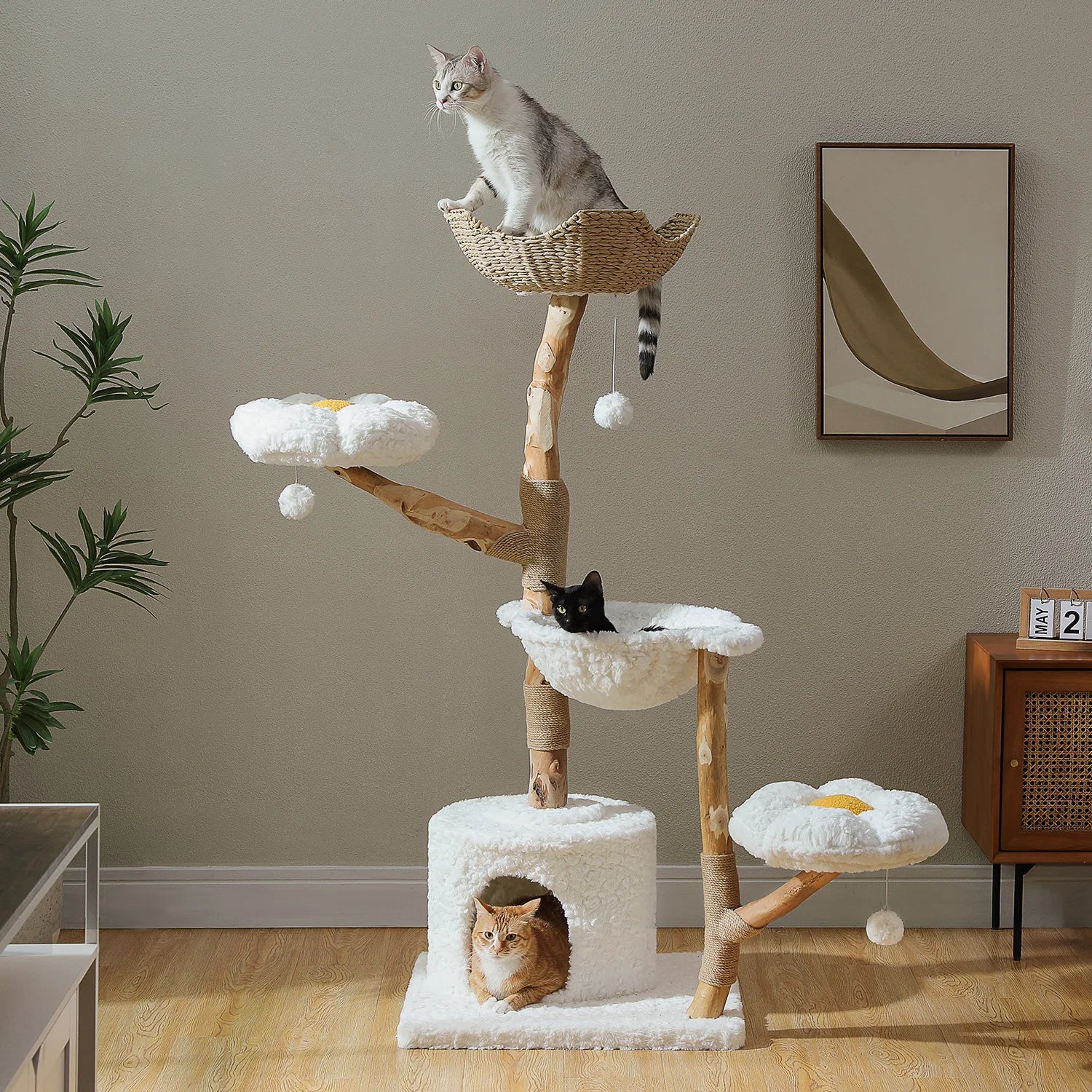 Arbre à chat en bois naturel — vue d'ensemble