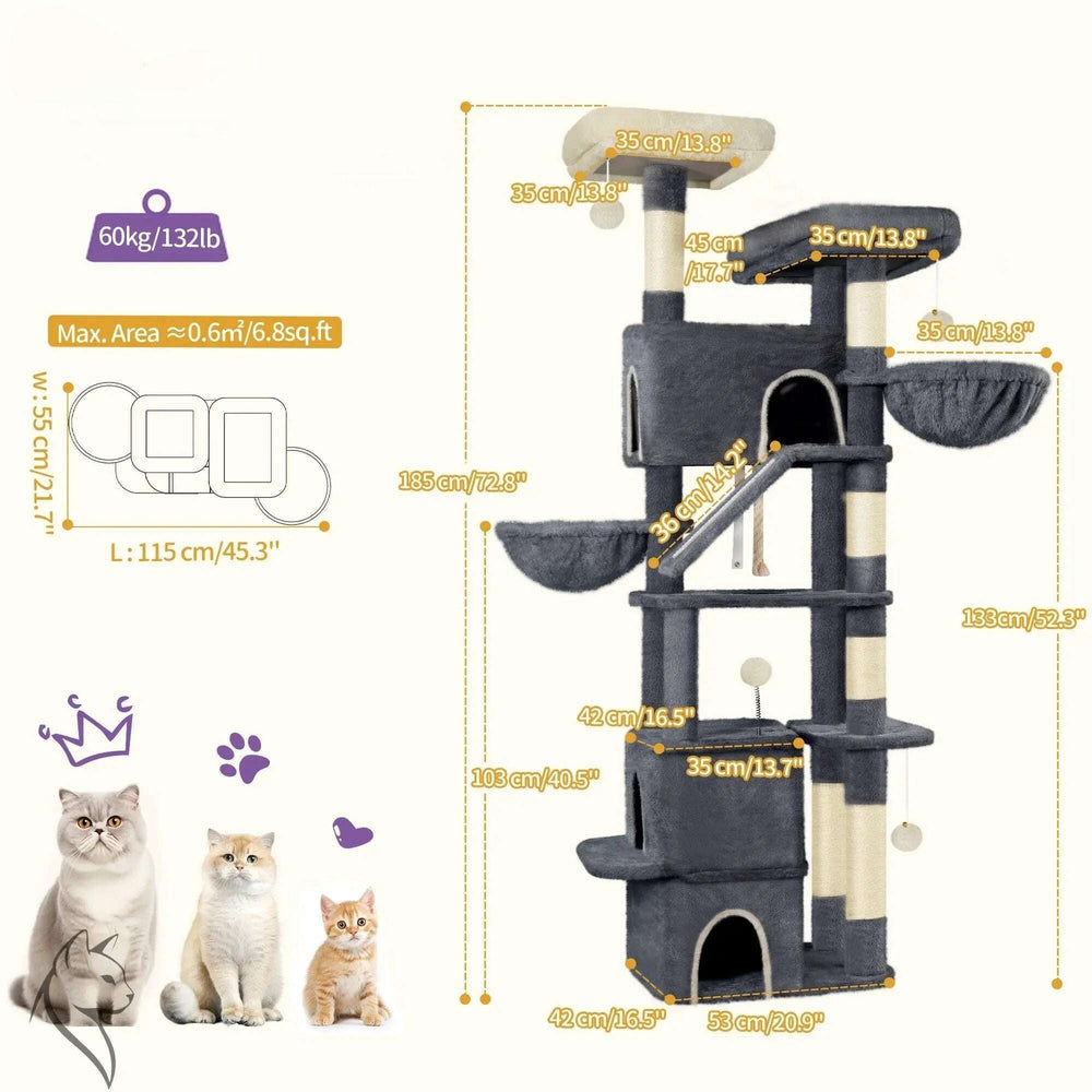 Arbre à chat avec hamacs pour Maine Coon, vue arrière