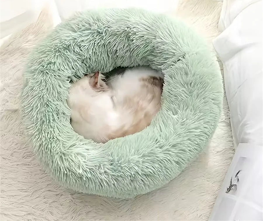 Cat curled up in the pastel green donut cat bed