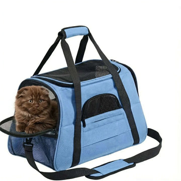 Panier de transport respirant pour chat, bleu