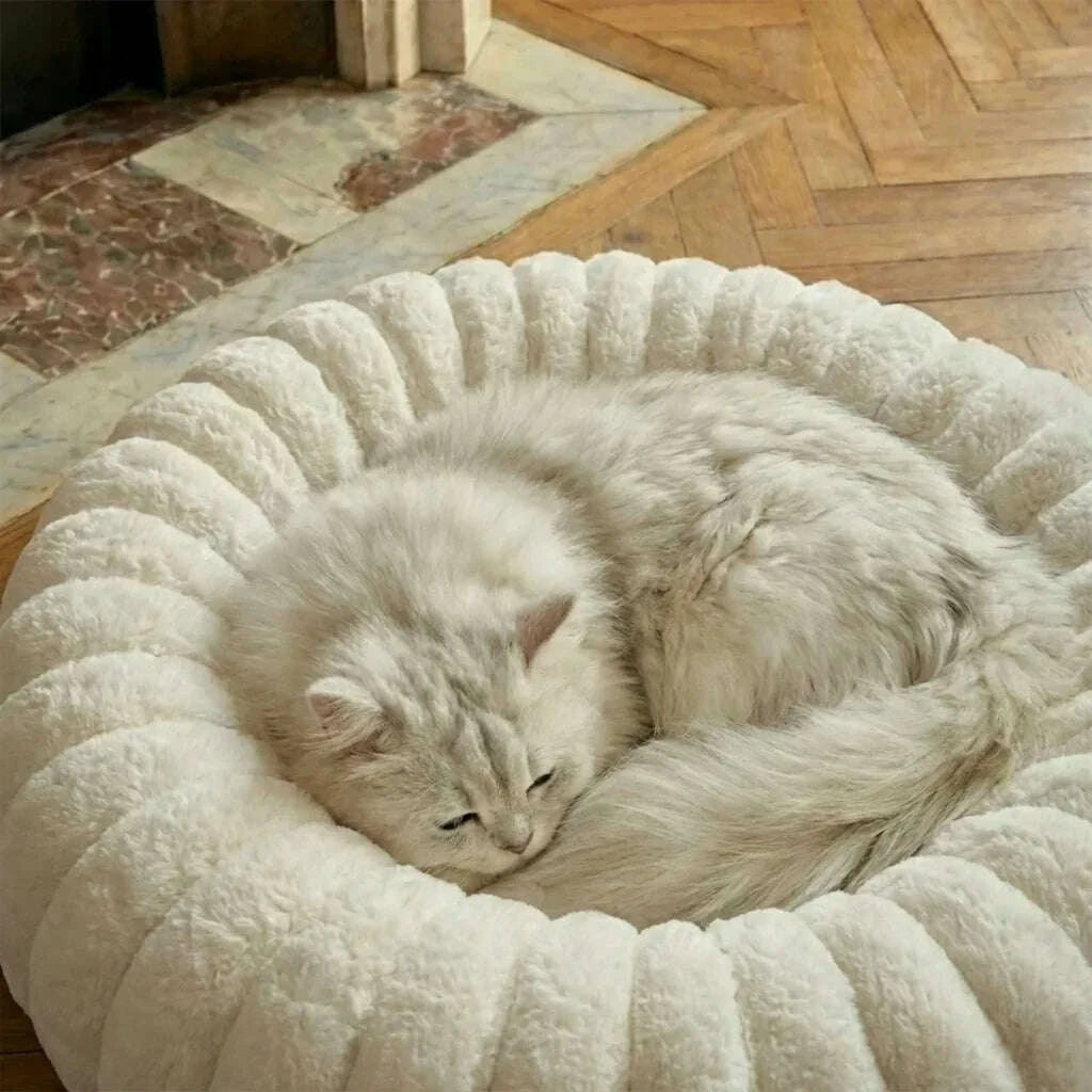 Panier pour chat blanc rond et confortable — vue arrière