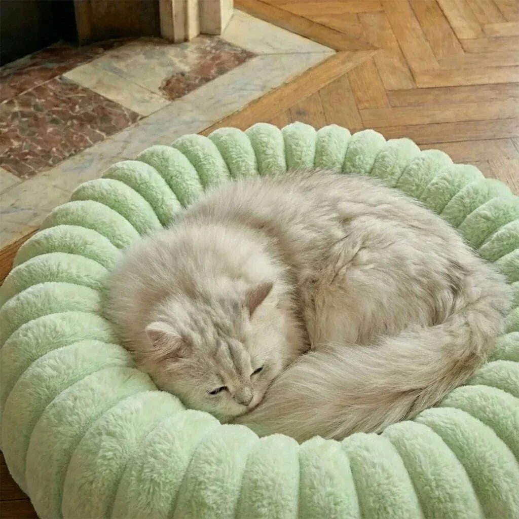 Panier rond pour chat en coussin vert pastel — vue arrière