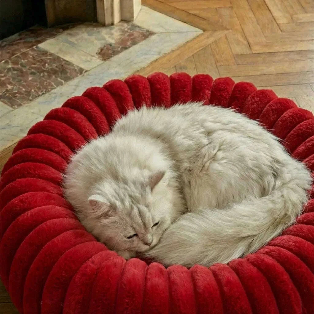 Panier rond rouge pour chat — vue arrière