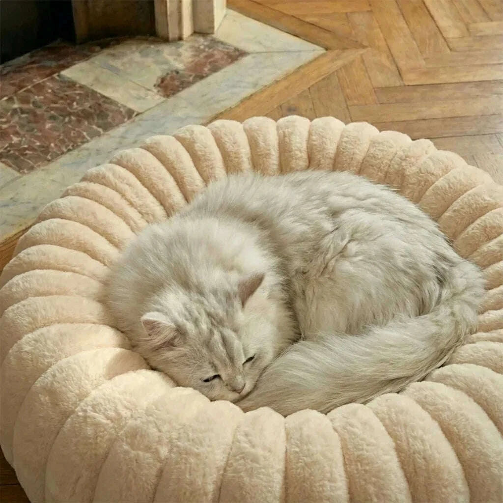 Panier rond pour chat — vue arrière