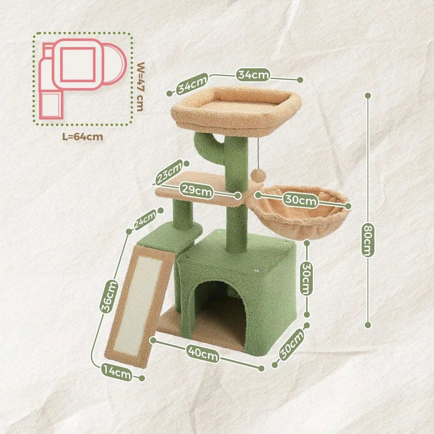 Petit arbre à chat cactus compact — détail
