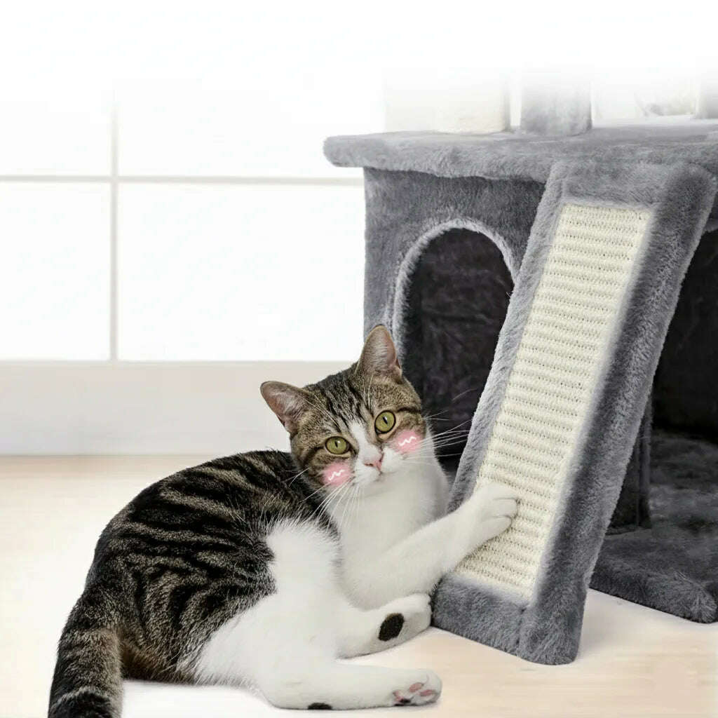 Petit arbre à chat en peluche — vue arrière