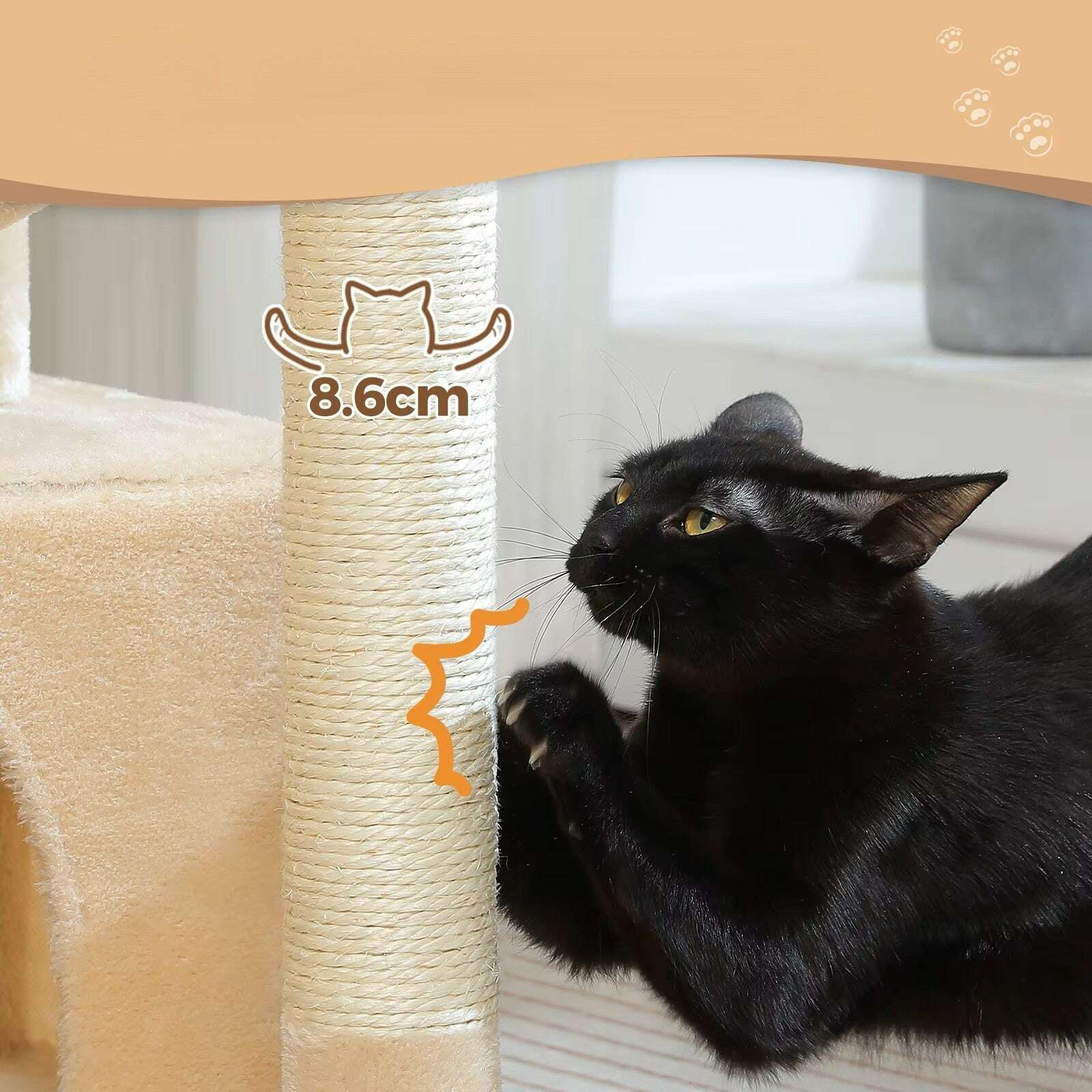 Petit arbre à chat compact et design — vue arrière