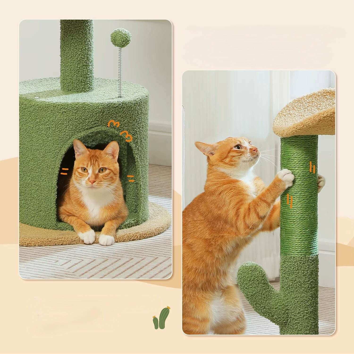Petit arbre à chat vert en forme de cactus — vue arrière