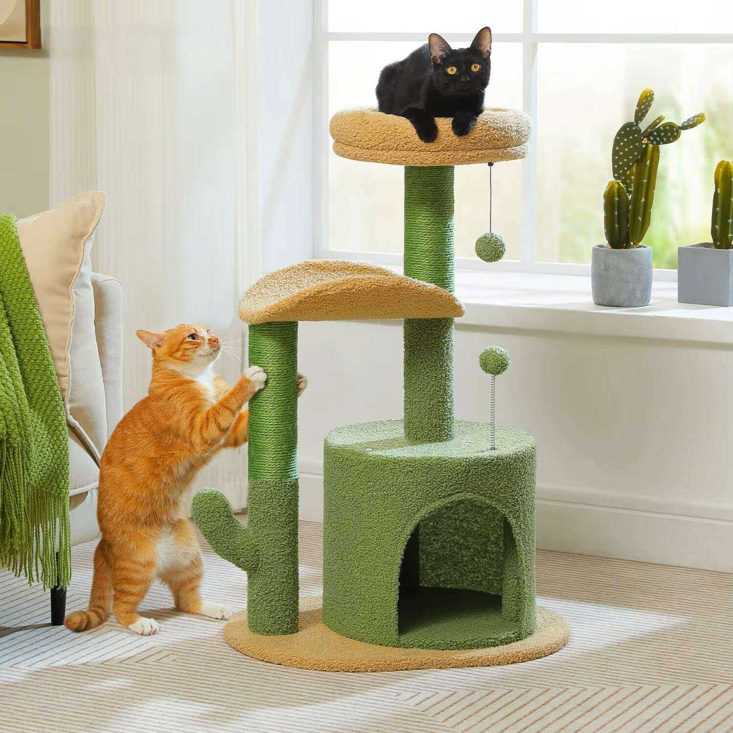 Petit arbre à chat vert en forme de cactus — vue d'ensemble